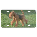 Sweet Airdale Terrier License Plate