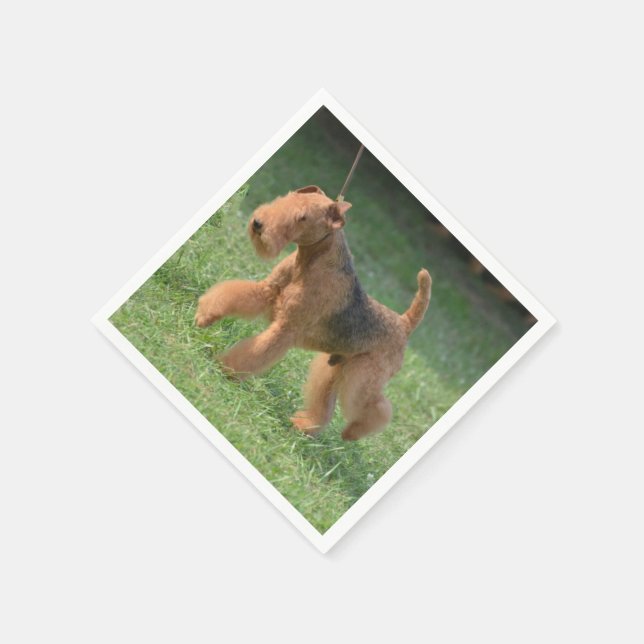 Sweet Airdale Terrier Paper Napkins (Corner)