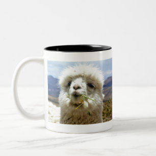 sweet alpaca Two-Tone coffee mug