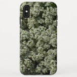 Sweet Alyssum Flowers White Floral iPhone XS Max Case