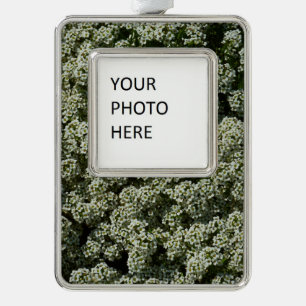 Sweet Alyssum Flowers White Floral Christmas Ornament