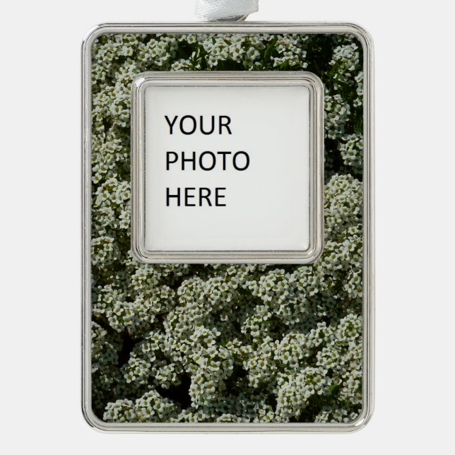 Sweet Alyssum Flowers White Floral Christmas Ornament (Front)
