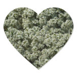 Sweet Alyssum Flowers White Floral Heart Sticker