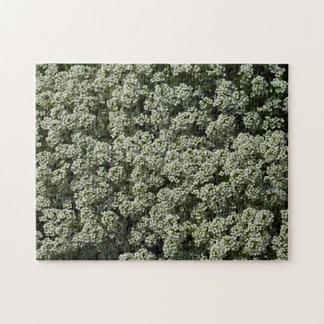 Sweet Alyssum Flowers White Floral Jigsaw Puzzle (Horizontal)