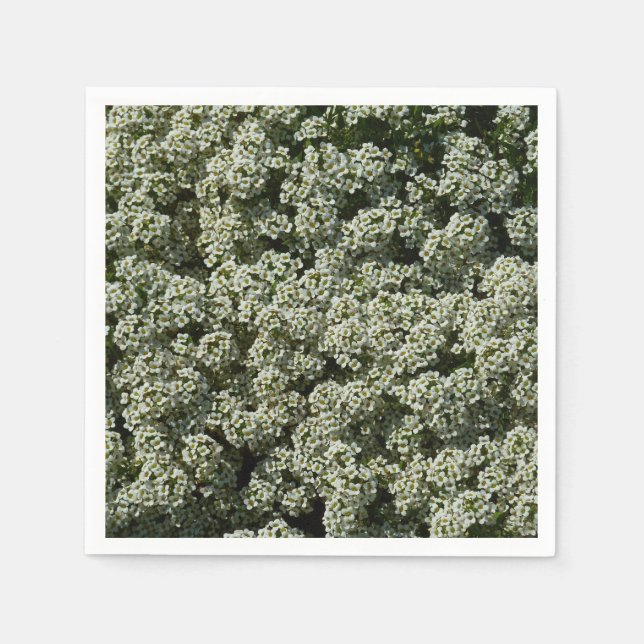 Sweet Alyssum Flowers White Floral Napkins (Front)