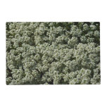 Sweet Alyssum Flowers White Floral Placemat