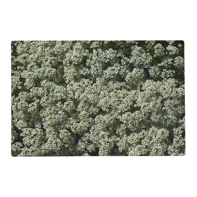 Sweet Alyssum Flowers White Floral Placemat (Front)