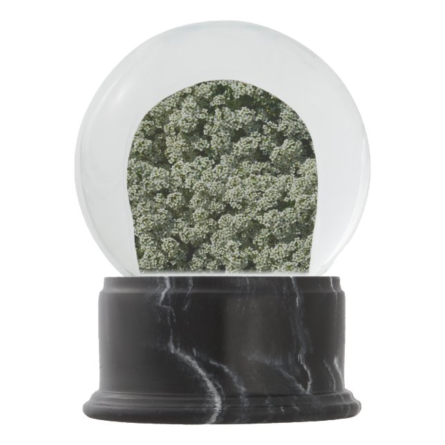Sweet Alyssum Flowers White Floral Snow Globe (Front)
