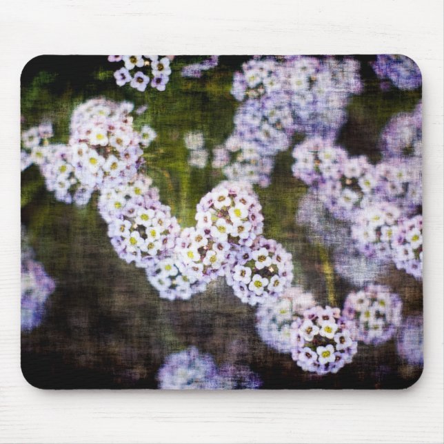Sweet Alyssum in Grunge Mouse Pad (Front)