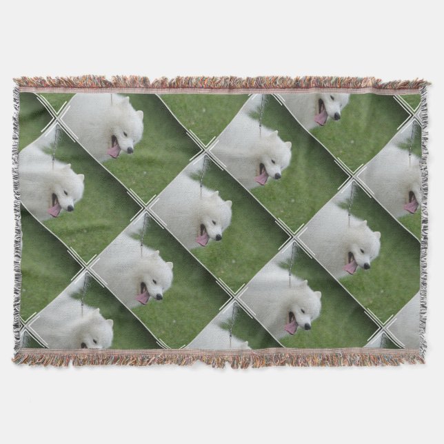 Sweet American Eskimo Dog Throw Blanket (Front)