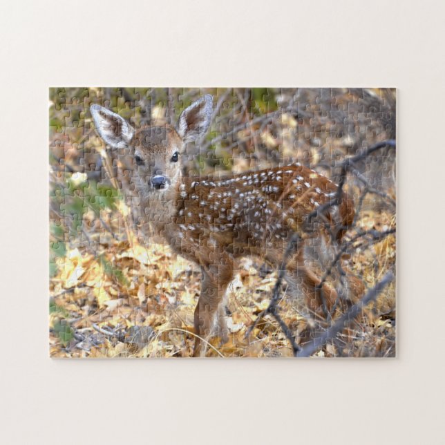 Sweet and Adorable Baby Deer / Fawn Photo Puzzle (Horizontal)