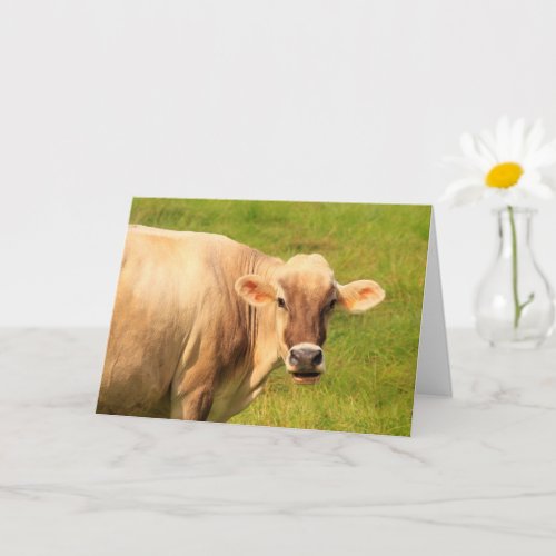 Sweet And Caring Cow Get Well Card