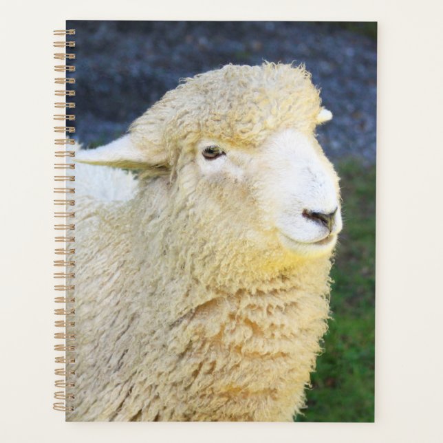 Sweet And Friendly Sheep Planner (Front)