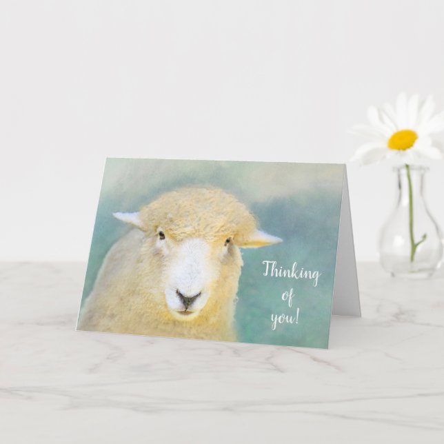Sweet And Loving Sheep Get Well Card (Small Plant)
