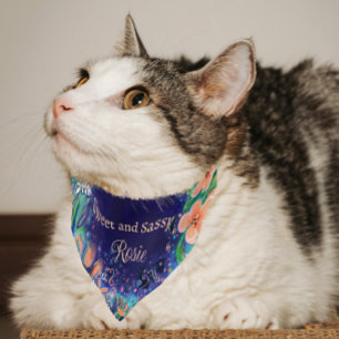 Sweet and Sassy Colorful Pet Bandana Collar