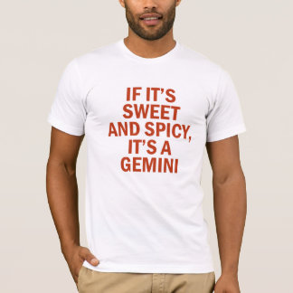 Sweet and Spicy Gemini Funny Design T-Shirt