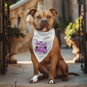 Sweet and Spooky Halloween Gift Pet Bandana Collar