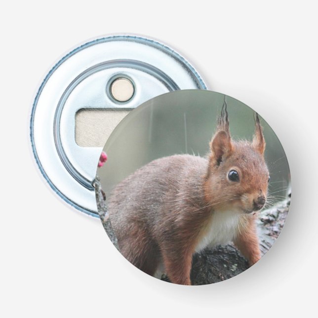 Sweet Animal Bottle Opener (Front)