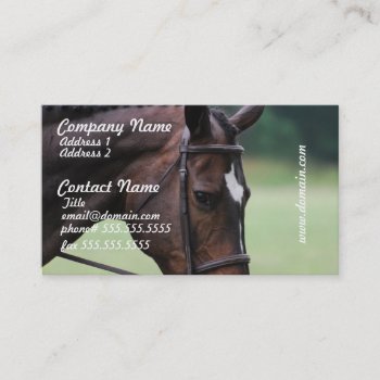 Sweet Arabian Horse Business Cards by HorseStall at Zazzle
