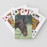 Sweet Arabian Horse Deck of Cards