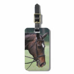 Sweet Arabian Horse Luggage Tag