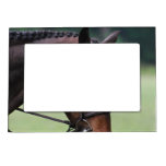 Sweet Arabian Horse Magnetic Frame