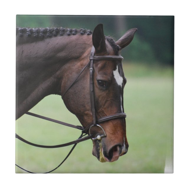 Sweet Arabian Horse Tile (Front)