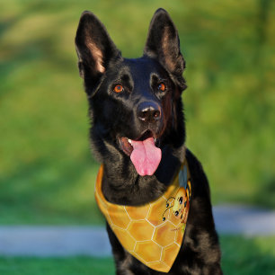 Sweet as a Honey Bee Pet Bandana Collar