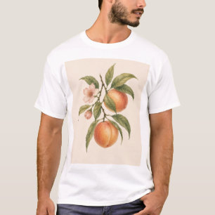Sweet as a Peach Vintage Peach Botanical Design T-Shirt