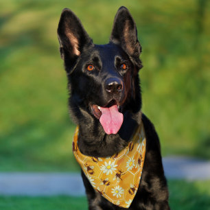 Sweet as Honey Pet Bandana Collar