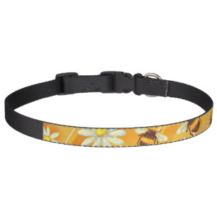 Sweet as Honey Pet Collar