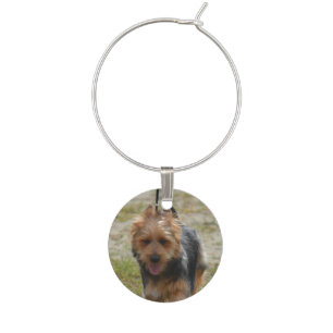 Sweet Australian Terrier Wine Charm