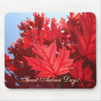 Sweet Autumn Days! mousepad Red Fall Tree Leaves