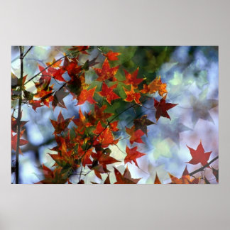 Sweet Autumn Poster
