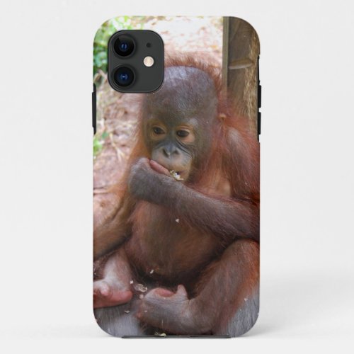 Sweet Baby Animals Orangutan iPhone 11 Case
