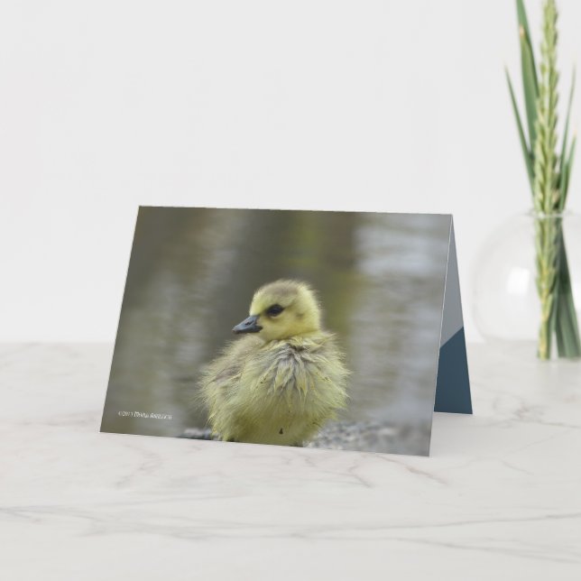 Sweet Baby Card (Front)