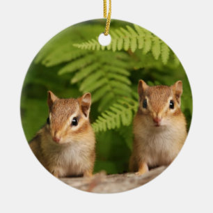Sweet Baby Chipmunk Siblings Ceramic Ornament