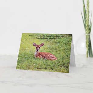 Sweet Baby Deer Fawn Art Bible Verse Card
