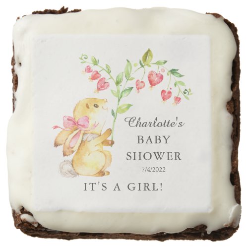 Sweet Baby Girl Bunny Baby Shower Brownie