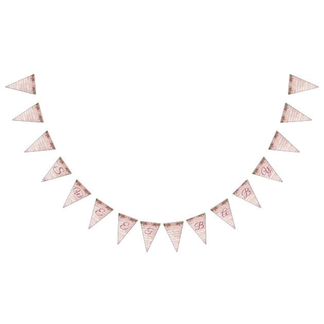 baby girl bunting