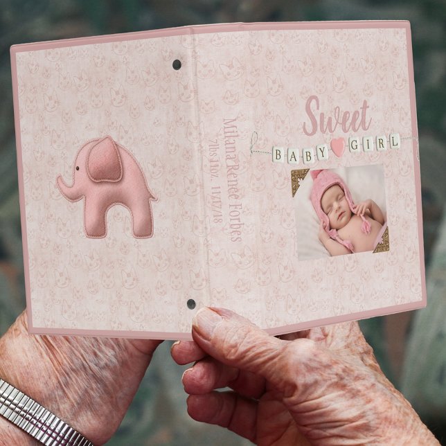 Sweet Baby Girl Photo Mini Binder (Creator Uploaded)