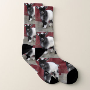 baby goat socks