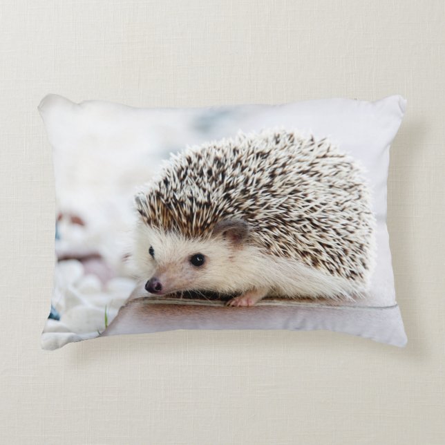 Sweet Baby Hedgehog Decorative Pillow (Front)