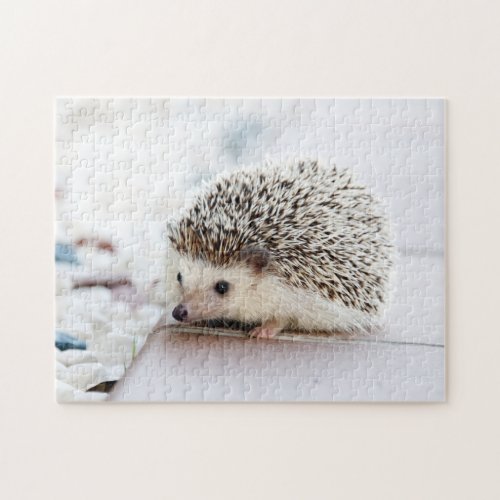 Sweet Baby Hedgehog Jigsaw Puzzle