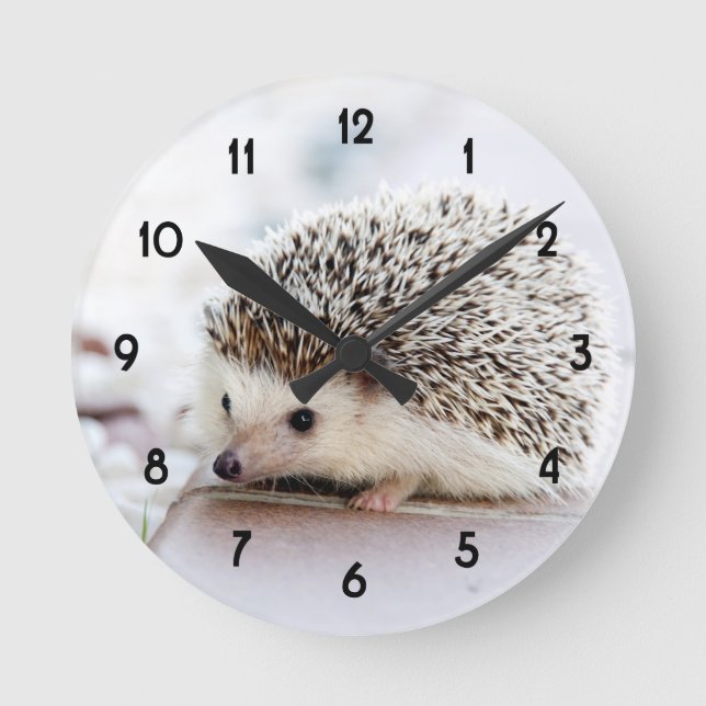Sweet Baby Hedgehog Round Clock (Front)
