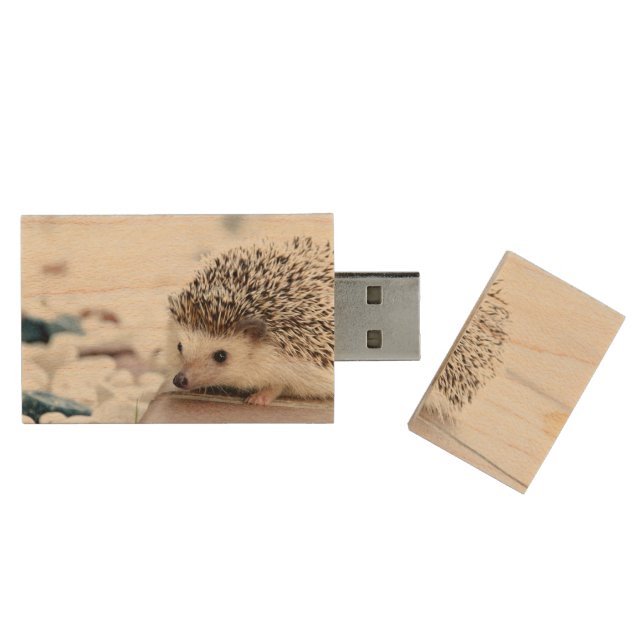 Sweet Baby Hedgehog Wood USB Flash Drive (Opened)