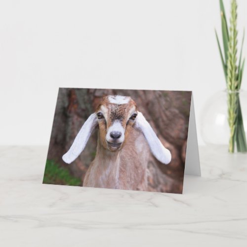 Sweet Baby Kid Goat Mothers Day Card