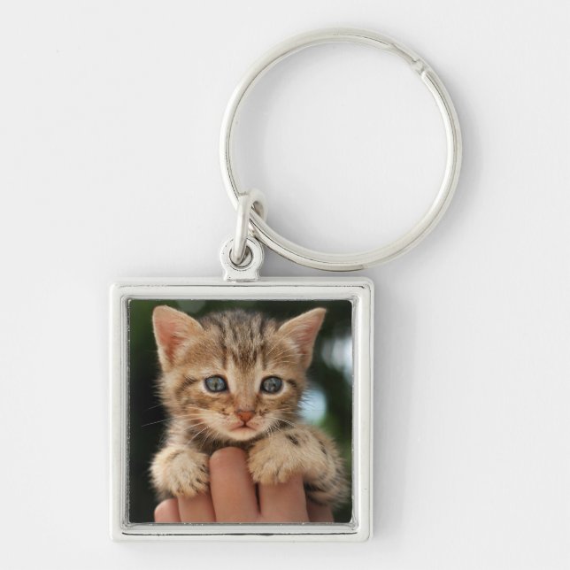 Sweet Baby Kitten Keychain (Front)