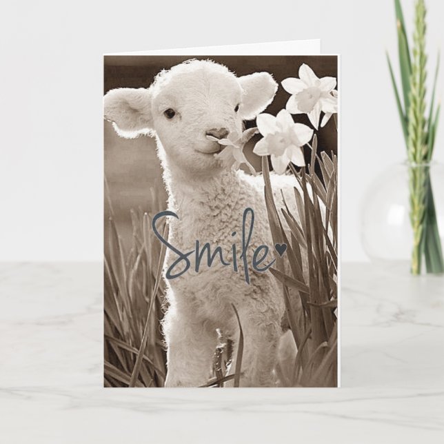 **SWEET BABY LAMB IS SO HAPPY FOR YOU** CONGRATS CARD (Front)