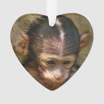 Sweet Baby Monkey Ornament by MehrFarbeImLeben at Zazzle
